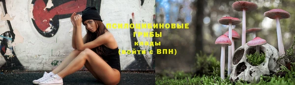 дживик Белая Холуница