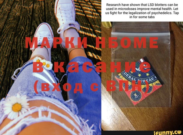 сатива Осинники
