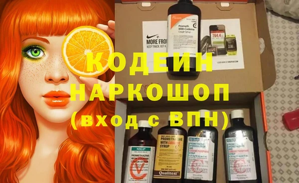ПСИЛОЦИБИНОВЫЕ ГРИБЫ Няндома