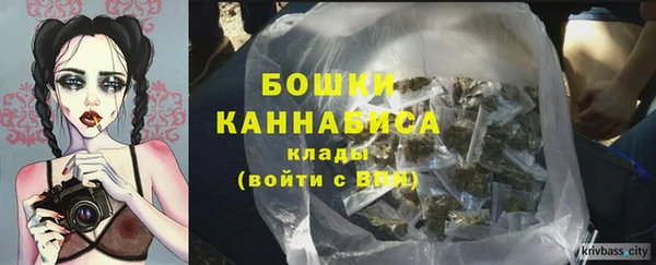 ПСИЛОЦИБИНОВЫЕ ГРИБЫ Няндома